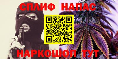 стаф Будённовск