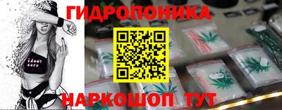 стаф Будённовск