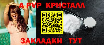 стаф Будённовск