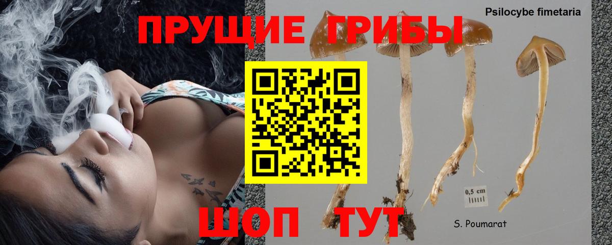 Псилоцибиновые грибы прущие грибы  Вход с VPN  Саратов 