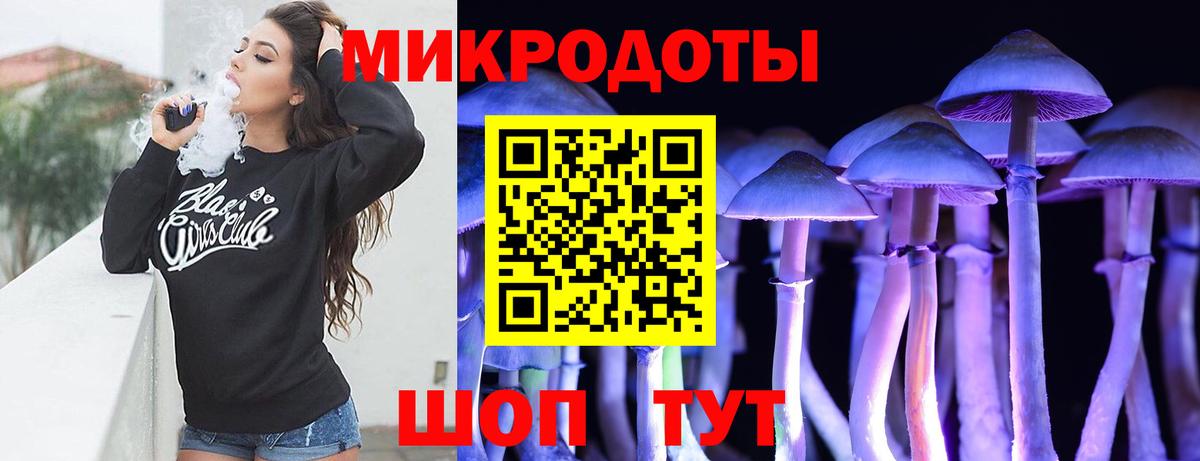 Псилоцибиновые грибы GOLDEN TEACHER Саратов